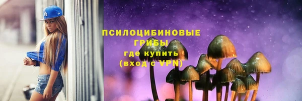 ешки Алексеевка