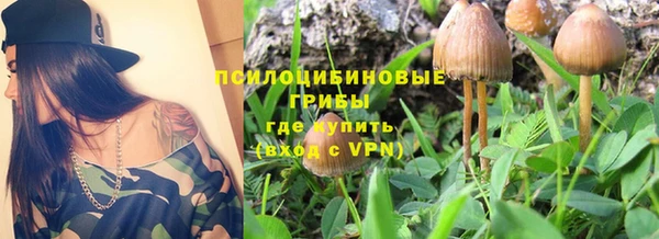 не бодяженный Алзамай