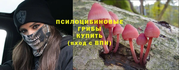 стаф Наволоки